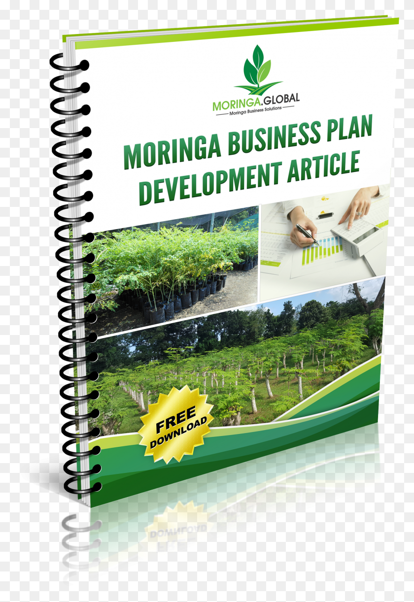 1674x2495 The Moringa Tree Notebook, Outdoors, Person, Advertisement Descargar Hd Png