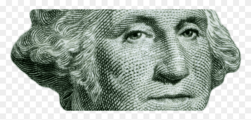 847x372 The Morning Wire George Washington, Money, Elephant, Wildlife HD PNG Download