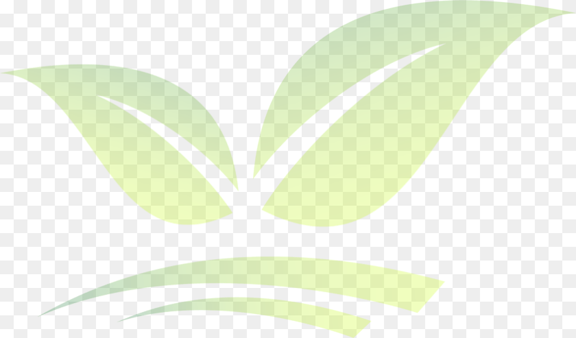 842x494 The Most Cost Efficient Way To Deal With Roof Moss Illustration, Green, Herbal, Herbs, Leaf PNG