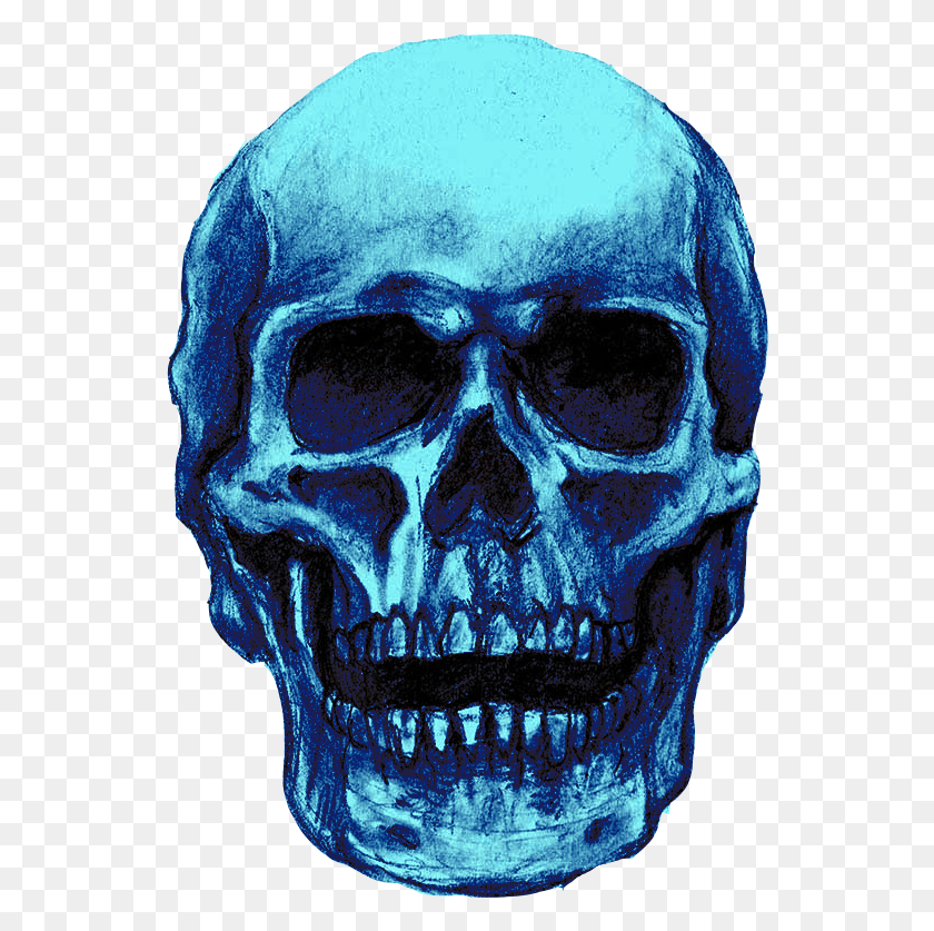 542x777 The Most Prominent Feature Of The Chamber Is A Large Skull, Alien, Head, Person HD PNG Download