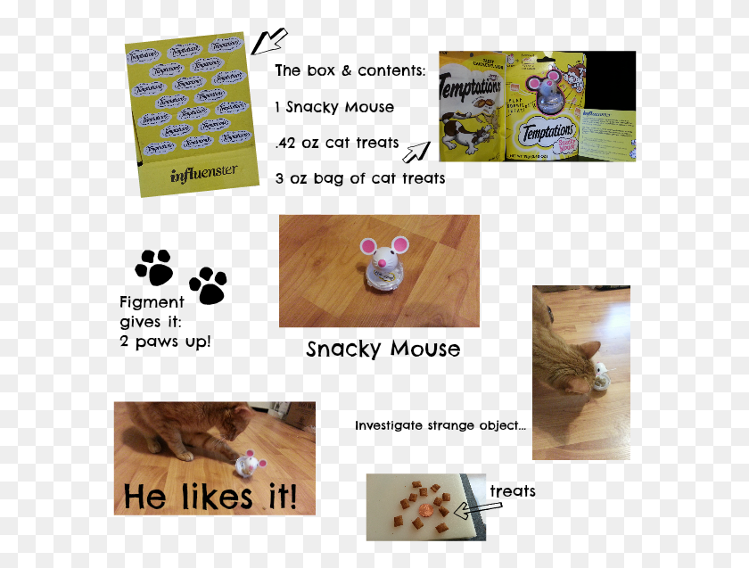 588x577 The Mouse Influenster Review Paw, Text, Cat, Pet HD PNG Download