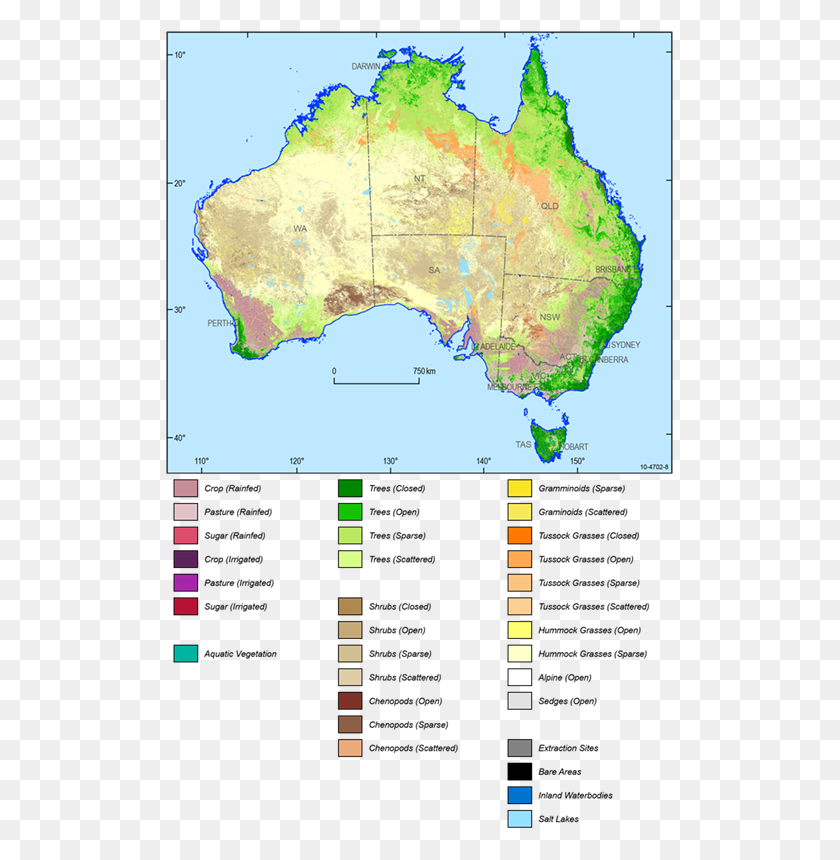 509x800 Национальный Динамический Набор Данных Растительного Покрова Австралии Карта Земного Покрова Австралии, Растительность, Растение, Участок Hd Png Скачать