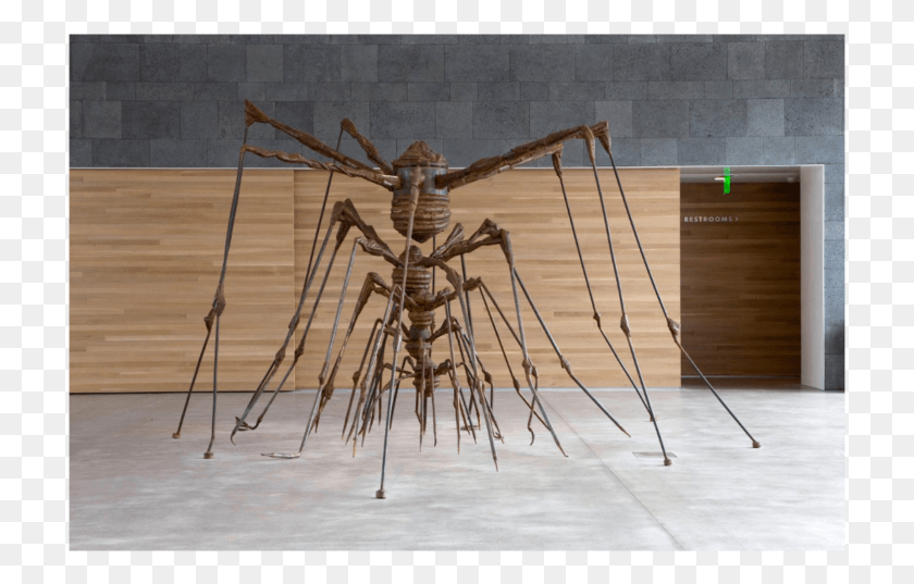 715x477 The Nest Offering Inspiration And Maybe Disturbing Louise Bourgeois The Nest, Wood, Insect, Invertebrate HD PNG Download