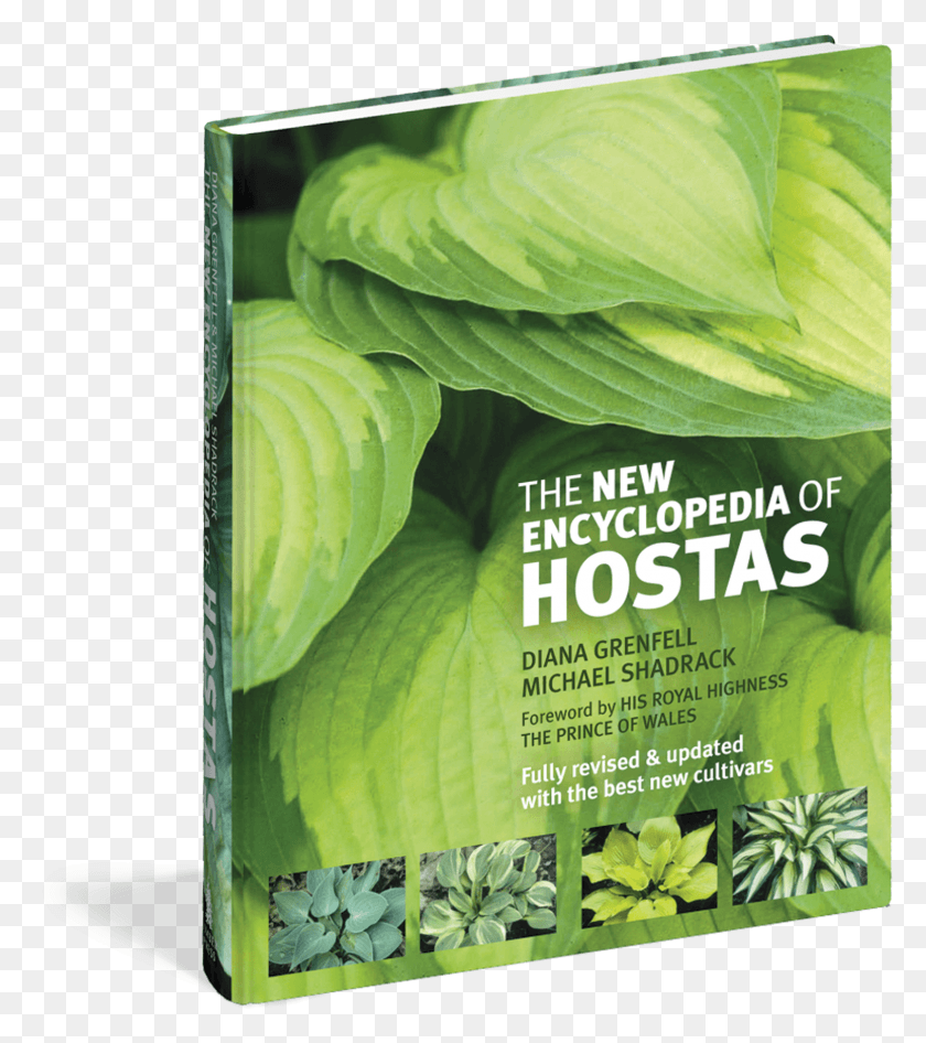 1515x1722 The New Encyclopedia Of Hostas, Plant, Vegetable, Food HD PNG Download