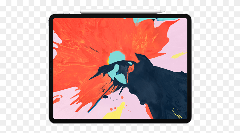 508x406 Новый Ipad Pro Новый Ipad Pro 2018 Цена, Птица, Животное, Холст Png Скачать
