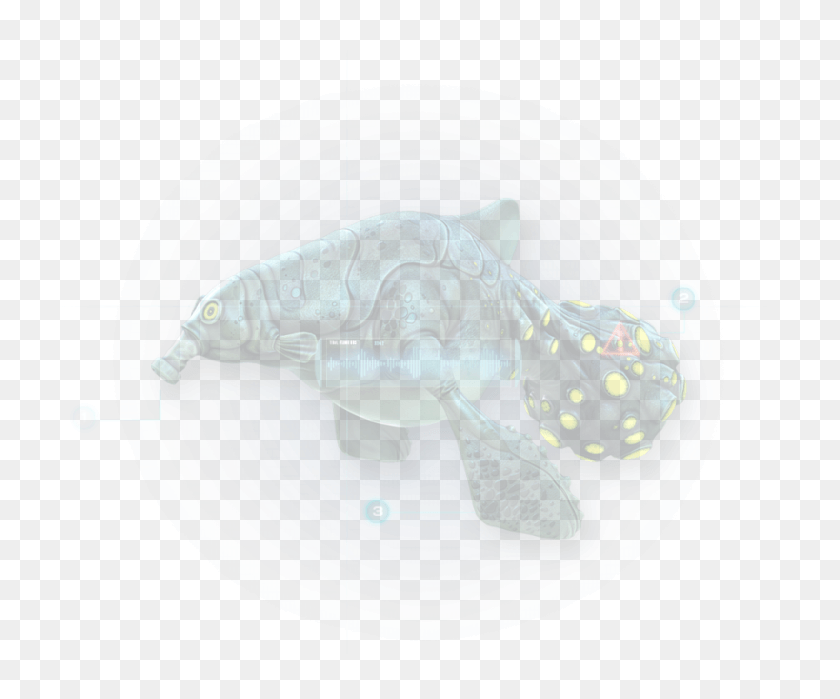 896x735 The New Look Subnautica Tortoise, Sphere, Turtle, Reptile HD PNG Download