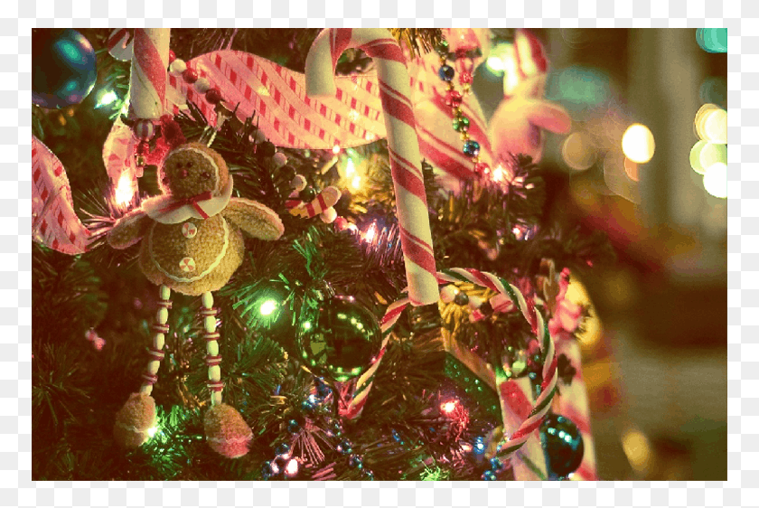 771x502 Кошмар Перед Рождеством Рождественские Изображения Для Instagram, Рождественская Елка, Елка, Орнамент Hd Png Скачать