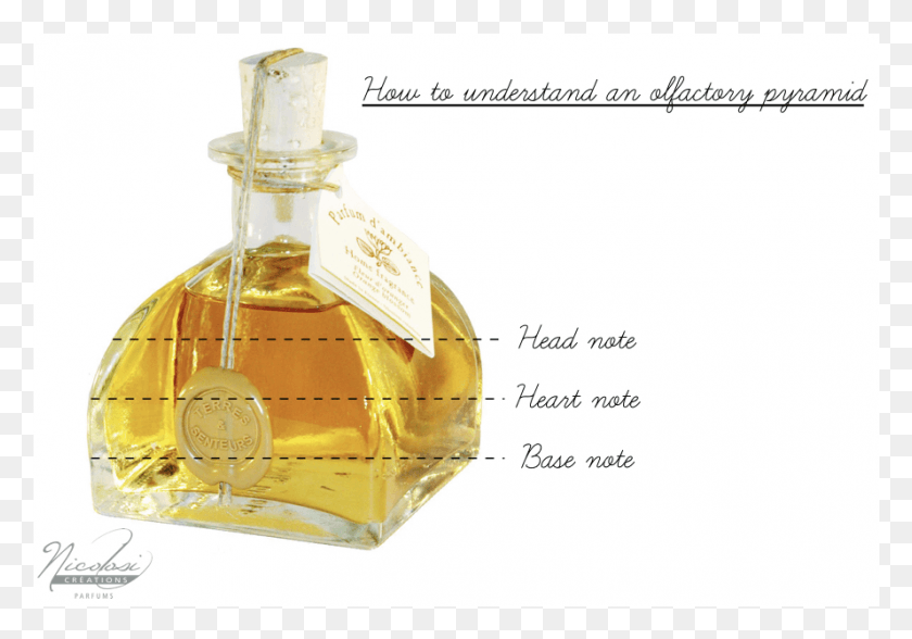 889x602 The Olfactory Pyramid Is The Structure Of A Perfume Perfume, Bottle, Liquor, Alcohol HD PNG Download