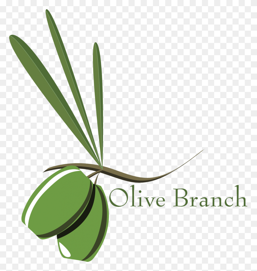 1199x1267 The Olive Branch Environment Olive Branch Petition Drawing, Plant, Nut, Vegetable HD PNG Download