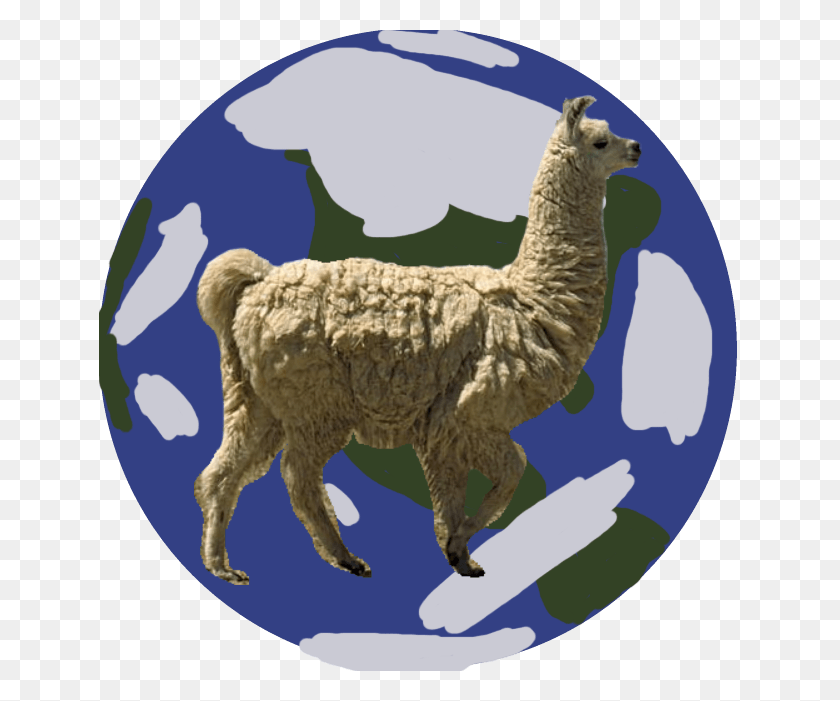 641x641 Единственная Планета, На Которой Живут Ламы, Это Земля, Розовая Лама, Млекопитающее, Животное, Овца Hd Png Скачать