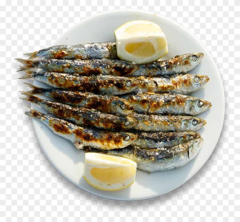 2799x2577 The Origin Of These Sardine Skewers Is Associated With Anchovy Food Descargar Hd Png