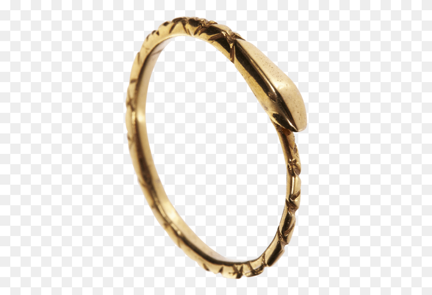 357x515 The Ouroboros Snake 39with A Tail In It39s Mouth39 Ring Bangle, Gold, Bronze, Wax Seal HD PNG Download