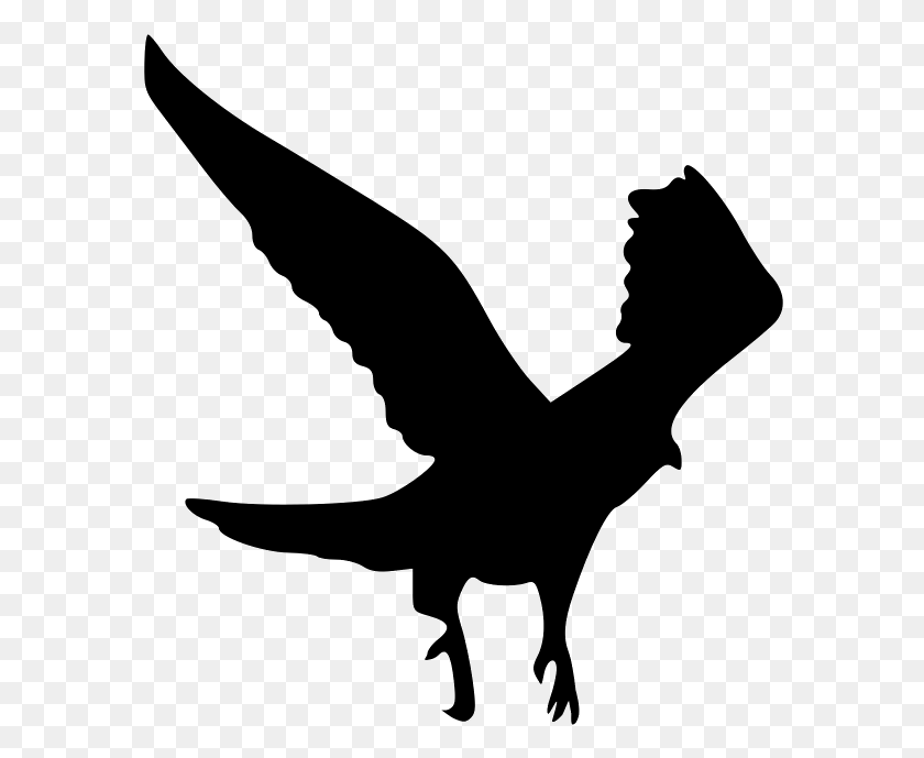 584x629 The Outline Of The Eagle Silhouette Of Flutter Of Birds Wings, Gray, World Of Warcraft HD PNG Download