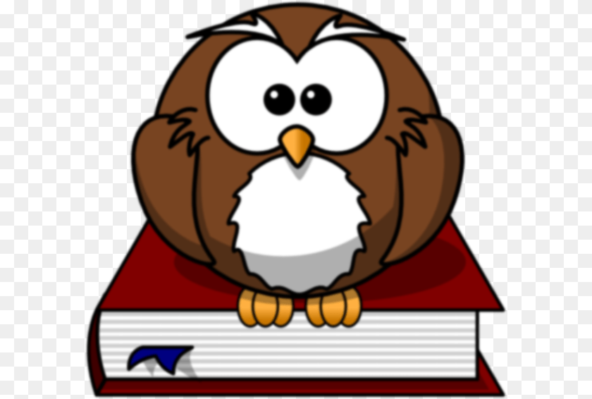 600x566 The Owl Clip Art, Baby, Person, Animal, Face PNG