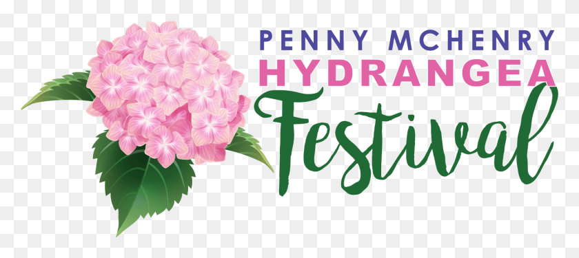 1448x585 The Penny Mchenry Hydrangea Festival Hydrangea Serrata, Plant, Flower, Blossom HD PNG Download