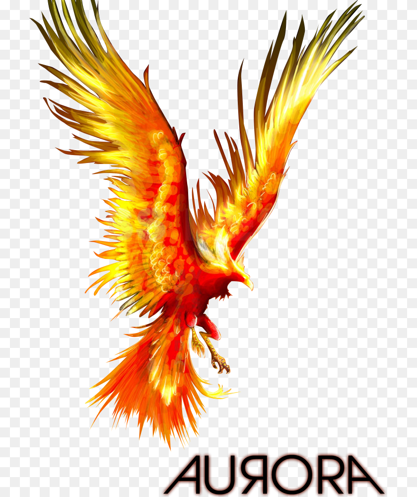 722x1000 The Phoenix Phoenix Bird, Animal, Chicken, Fowl, Poultry PNG