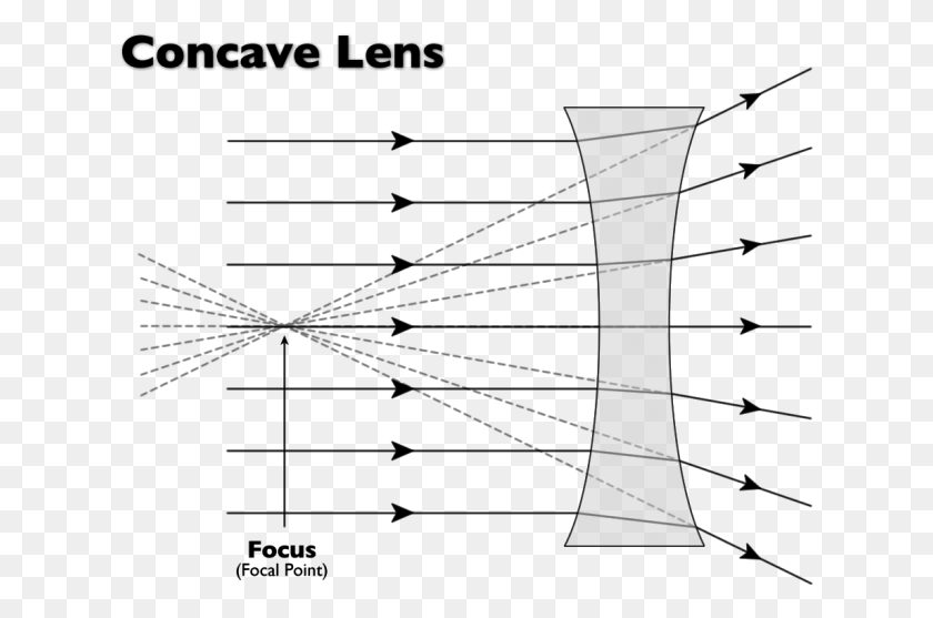 624x497 The Photons Of Light Then Travels In All Directions Focus Of Concave Lens, Architecture, Building, Outdoors HD PNG Download