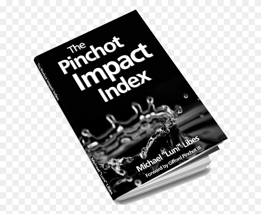 626x630 The Pinchot Impact Index Идеи Обложки Ежегодника 2018, Плакат, Реклама, Флаер Png Скачать