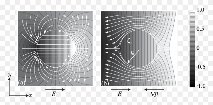 850x385 The Pressure Distribution And Streamlines White Lines Circle, Spiral, Spider Web, Shooting Range Descargar Hd Png