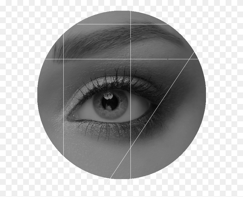 584x622 The Process Monochrome, Contact Lens, Lamp HD PNG Download