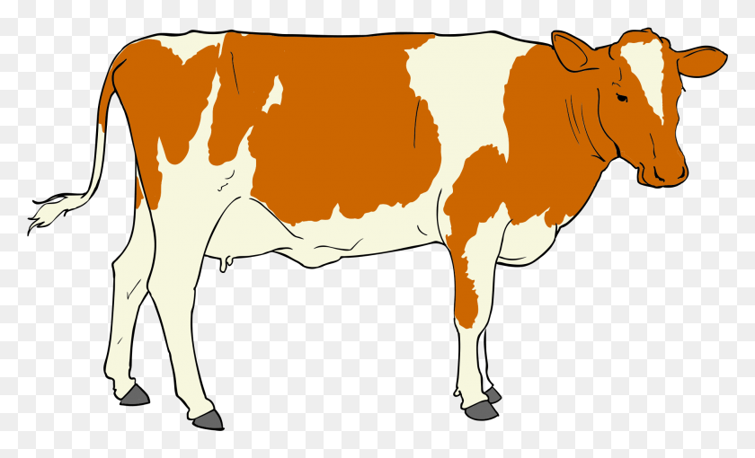 1955x1130 The Q3 Model To Eating Responsibly Clip Art Of Cow, Dairy Cow, Cattle, Mammal HD PNG Download