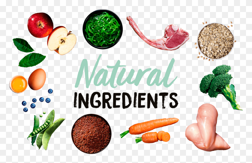 1591x988 Качество Начинается С Ингредиентов Ingredienti Naturali, Растение, Еда, Овощи Hd Png Скачать