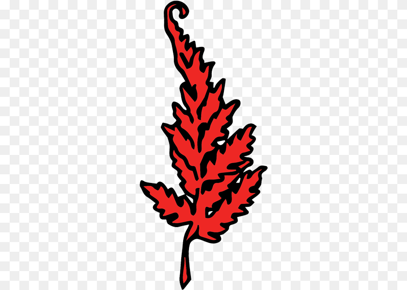The Red Fern, Leaf, Plant, Tree, Maple Leaf PNG