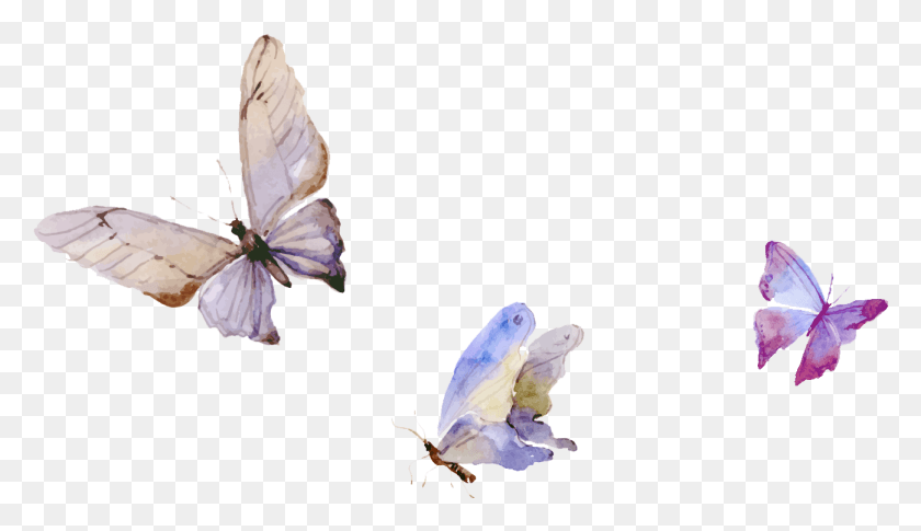 1298x708 The Results Common Blue, Geranium, Flower, Plant HD PNG Download