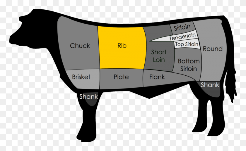 1014x595 The Rib Section Of Beef Spans From Ribs Six Through Beef Tri Tip, Text, Label, Blow Dryer HD PNG Download