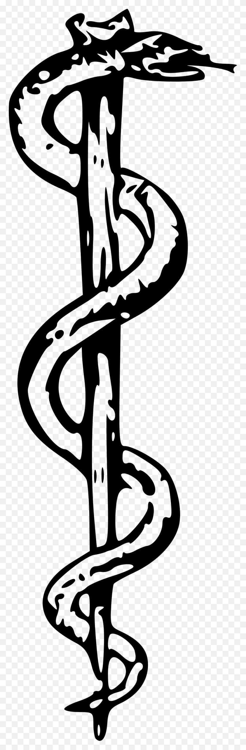 1000x3203 The Rod Of Asclepius Rod Of Asclepius, Musical Instrument, Horn, Brass Section HD PNG Download