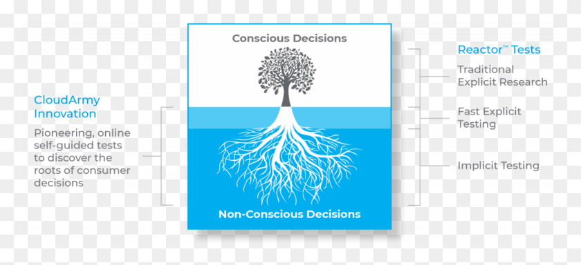 1024x426 The Roots Of Decisions Graphic Design, Root, Plant, Text HD PNG Download