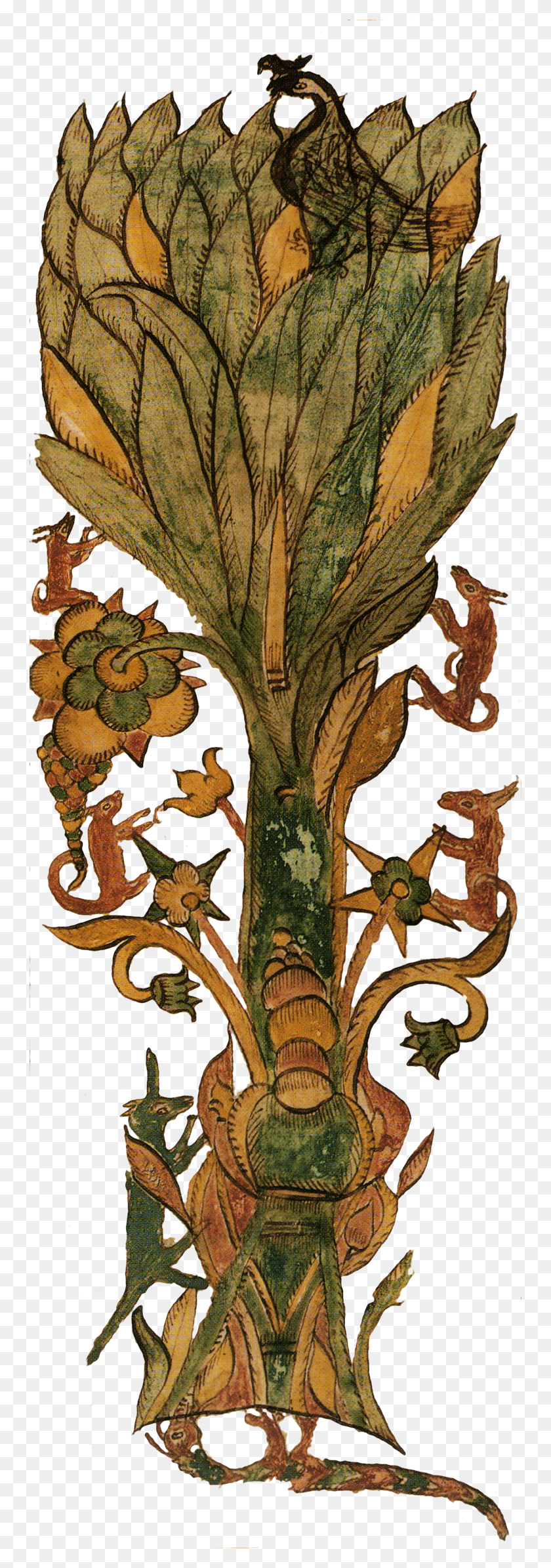 750x2329 The Roots Of Yggdrasil Yggdrasil Manuscript, Plant, Tree HD PNG Download