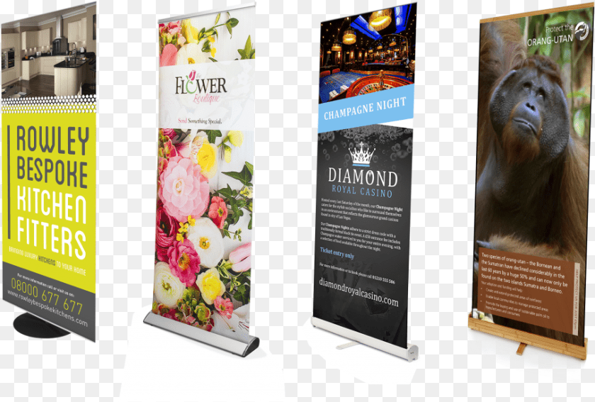 910x614 The Science Behind The Roller Banner Design Roller Banner Design, Advertisement, Poster, Animal, Mammal PNG
