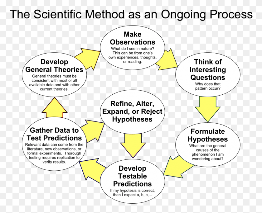 1227x983 The Scientific Method As An Ongoing Process Scientific Method As An Ongoing Process, Text, Flyer, Poster HD PNG Download
