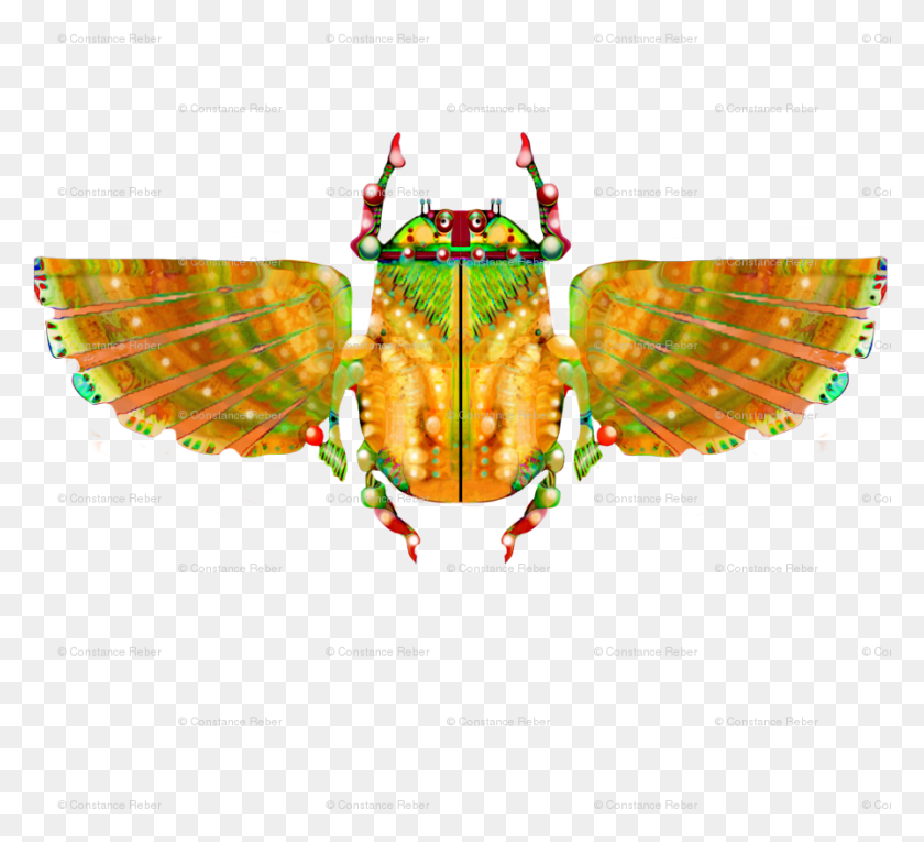 896x810 El Escarabajo Ceñudo Ilustración, Animal, Invertebrado, Insecto Hd Png