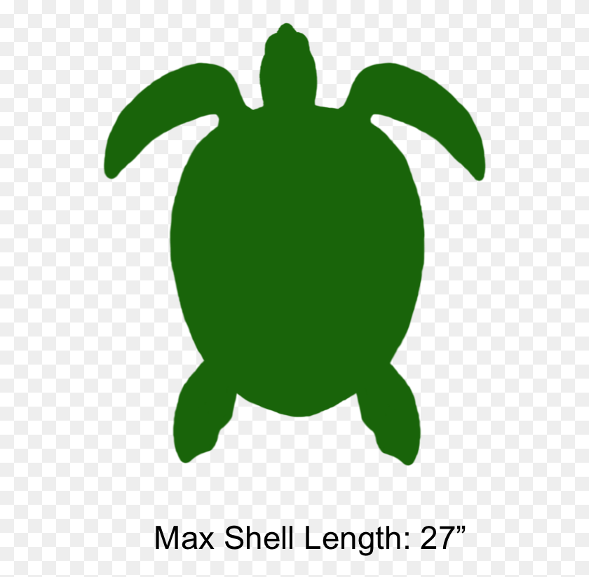 548x763 The Shaded Region Represents The Range Of The Atlantic Green Sea Turtle, Animal, Sea Life, Reptile HD PNG Download