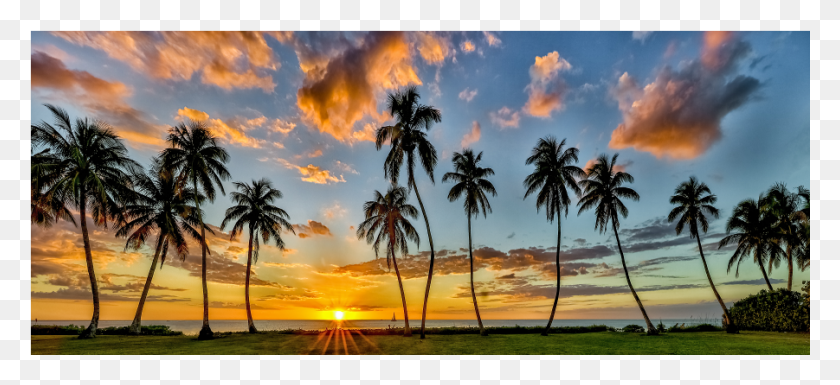 901x376 The Shop Sunset, Nature, Outdoors, Sky HD PNG Download