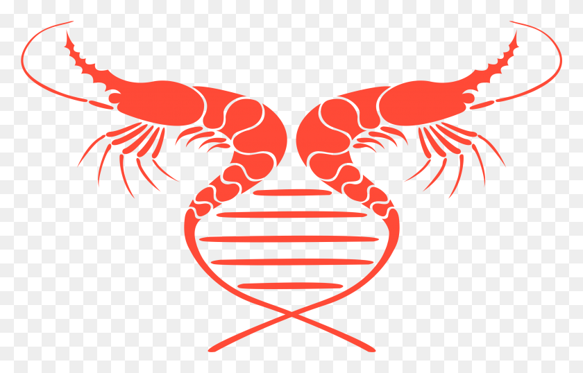 3031x1861 The Shrimp Pathogenomics Program Aims To Develop A, Seafood, Food, Sea Life Descargar Hd Png