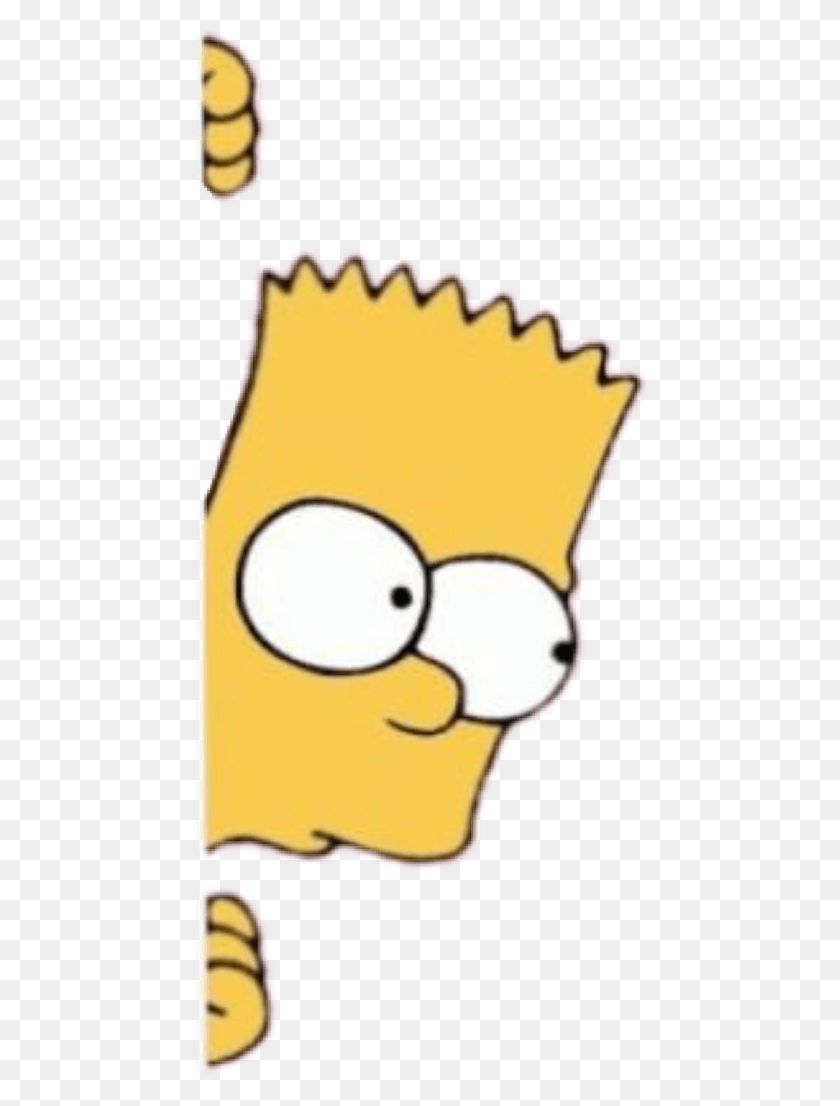 452x1046 Los Simpsons, Animal, Pájaro, Planta Hd Png