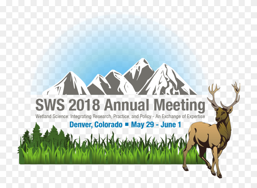 731x556 The Society Of Wetland Scientists 2018 Annual Meeting Elk, Nature, Outdoors, Mountain HD PNG Download