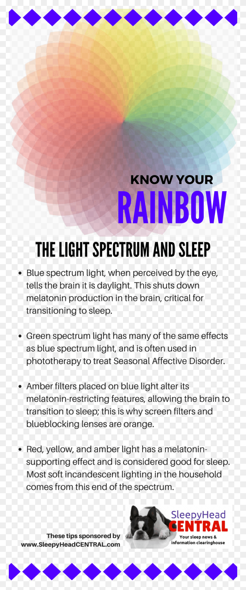 800x2000 The Spectrum Of Sleep In Color Ink, Flyer, Poster, Paper HD PNG Download