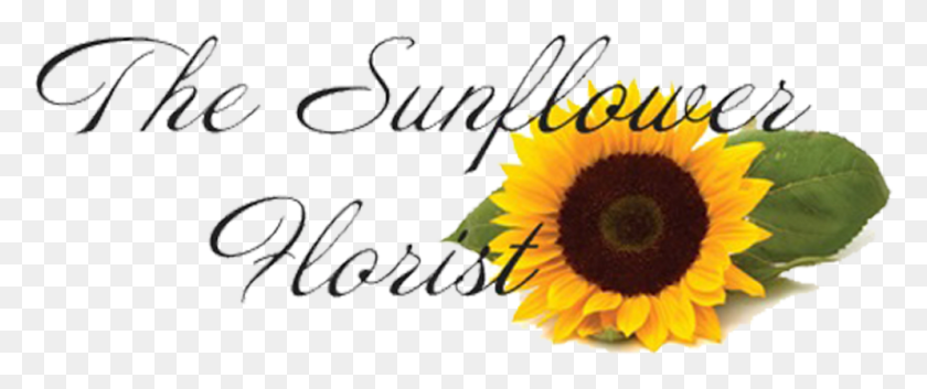995x375 The Sunflower Florist Sunflower, Text, Plant, Flower HD PNG Download