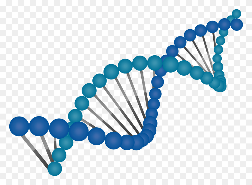 1890x1355 The Supply Chain Redefined Dna, Bead, Accessories, Accessory HD PNG Download