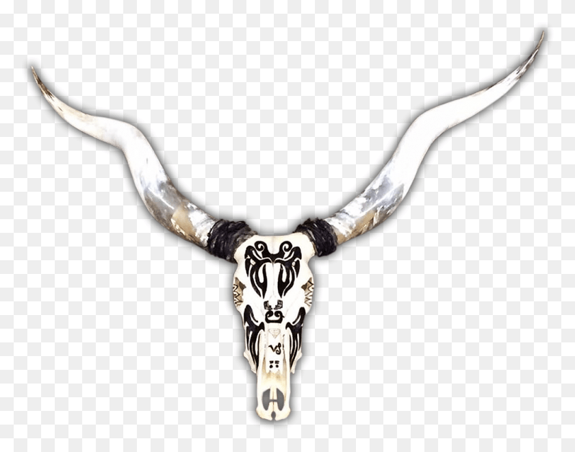 1000x770 The Texas Longhorn Embodies The Myth Of The Wild West Necklace, Antler, Cattle, Mammal HD PNG Download
