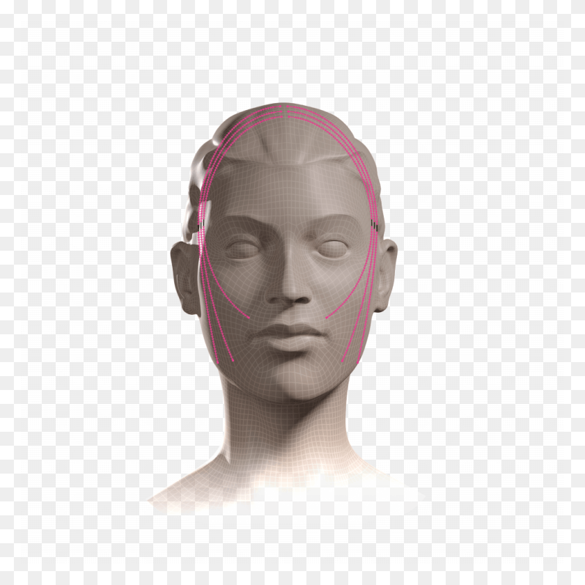 1024x1024 The Threads Are Implanted In The Middle Of The Hypodermis Mannequin, Head, Person, Human HD PNG Download