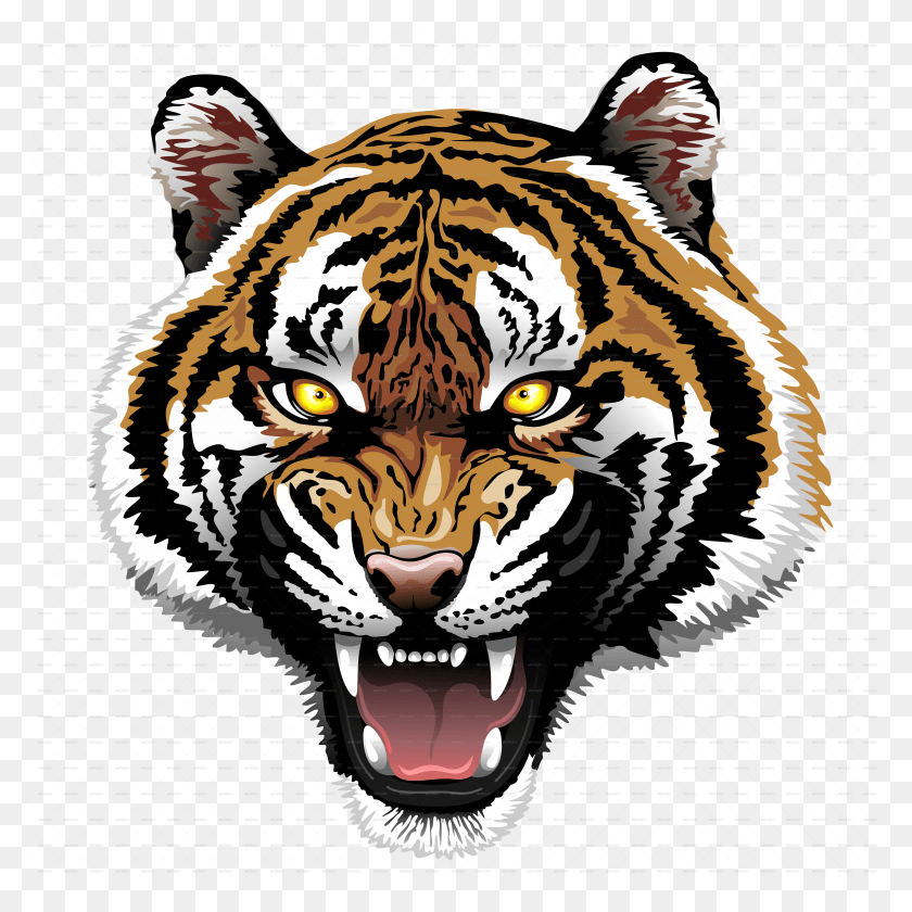 6500x6500 The Tiger Roar Images Images Roaring Tiger Head, Mammal, Animal, Wildlife HD PNG Download