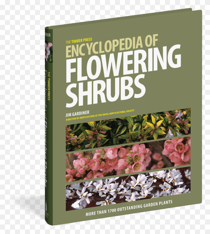 1526x1718 The Timber Press Encyclopedia Of Flowering Shrubs, Plant, Flower, Blossom HD PNG Download
