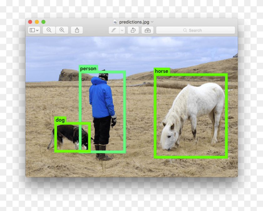 1473x1159 The Tiny Version Of Yolo Only Uses 516 Mb Of Gpu Memory Yolo Real Time Object Detection, Person, Nature, Outdoors HD PNG Download