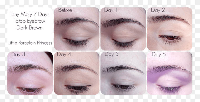 1588x759 The Tip Is Very Fine Allowing Me To Create Small Single Tonymoly 7 Days Perfect Tattoo Eyebrow, Collage, Poster, Advertisement HD PNG Download