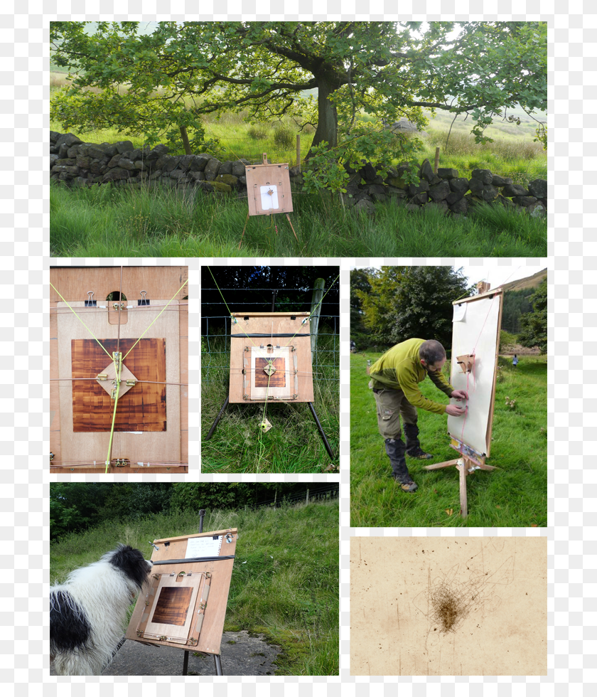 700x920 The Tree Drawing Machine Is A Temporary Environmental Grass, Person, Human, Dog HD PNG Download